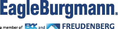 Logo EagleBurgmann Sellados Ind. Agencia en Chile