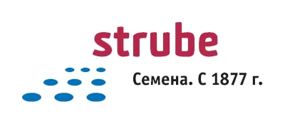 Logo Strube Rus