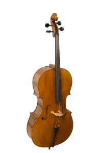 Rudolf Premium Cello // Mastri