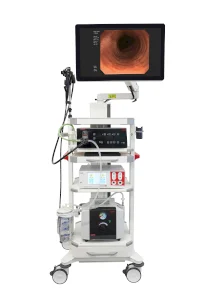 Flexible Endoscope system - Combo 3 // EndoMed Systems GmbH