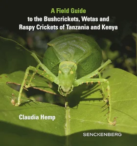Claudia Hemp: A Field Guide to the Bushcrickets, Wetas and Raspy Crickets of Tanzania and Kenya // Schweizerbart/Borntraeger Science Publishers