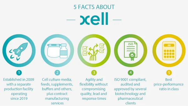 5 Facts about Xell