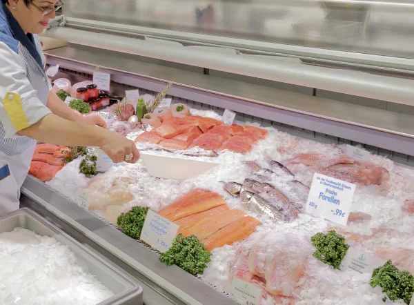 Flake ice for fish presentation (supermarkets) and fish transportation