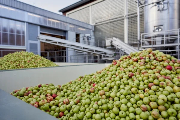 Apples production site
